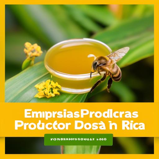 Empresas Productoras De Miel En Costa Rica