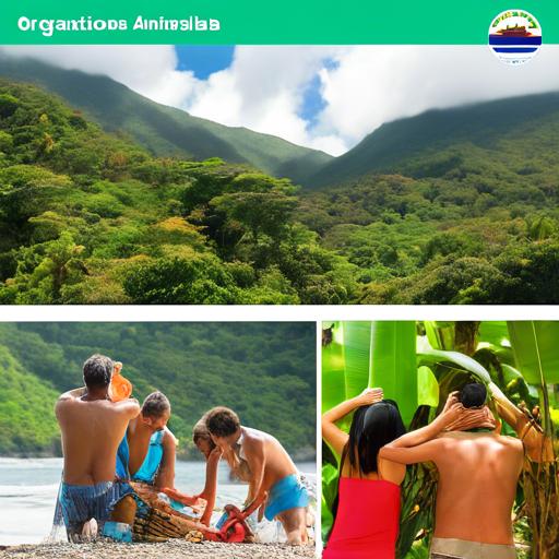 Organizaciones Ambientales En Costa Rica